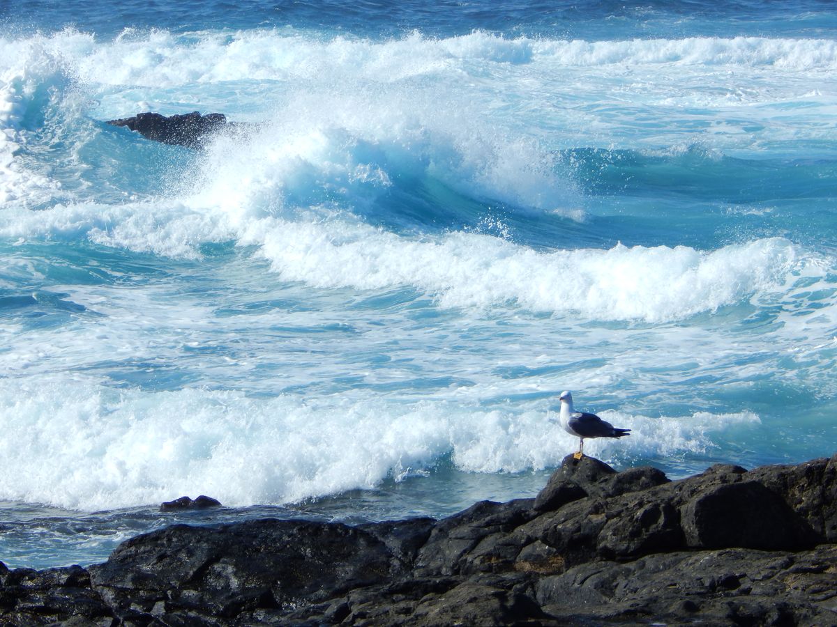 Contemplando la furia