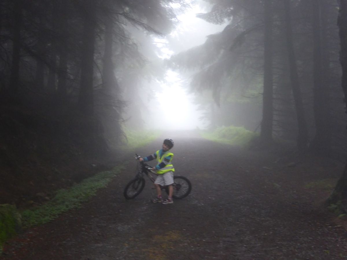 Ticknock Forest, Dublin