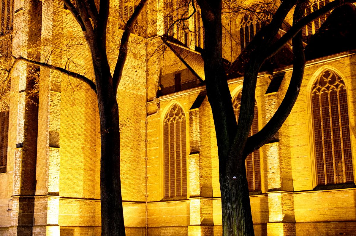 Trees and Church