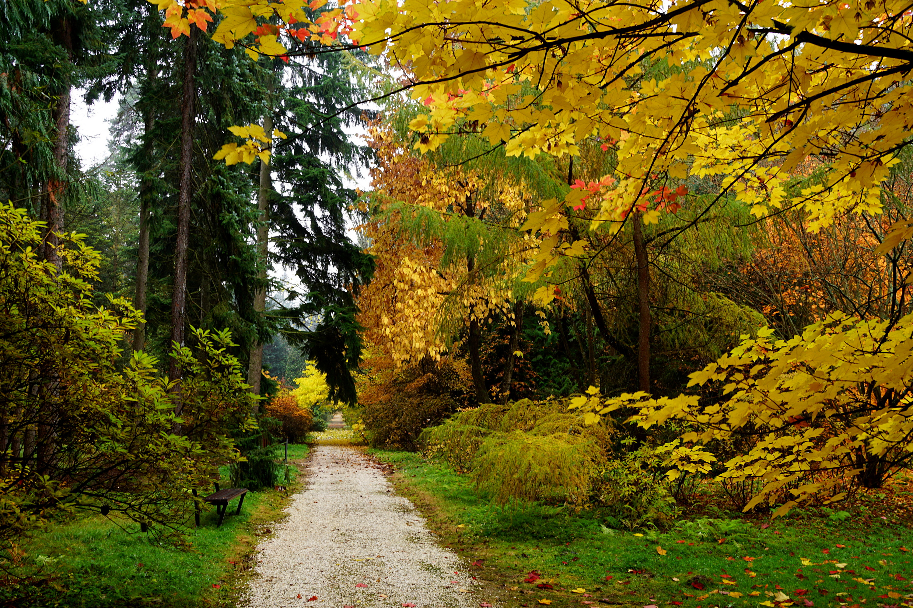 Arboretum