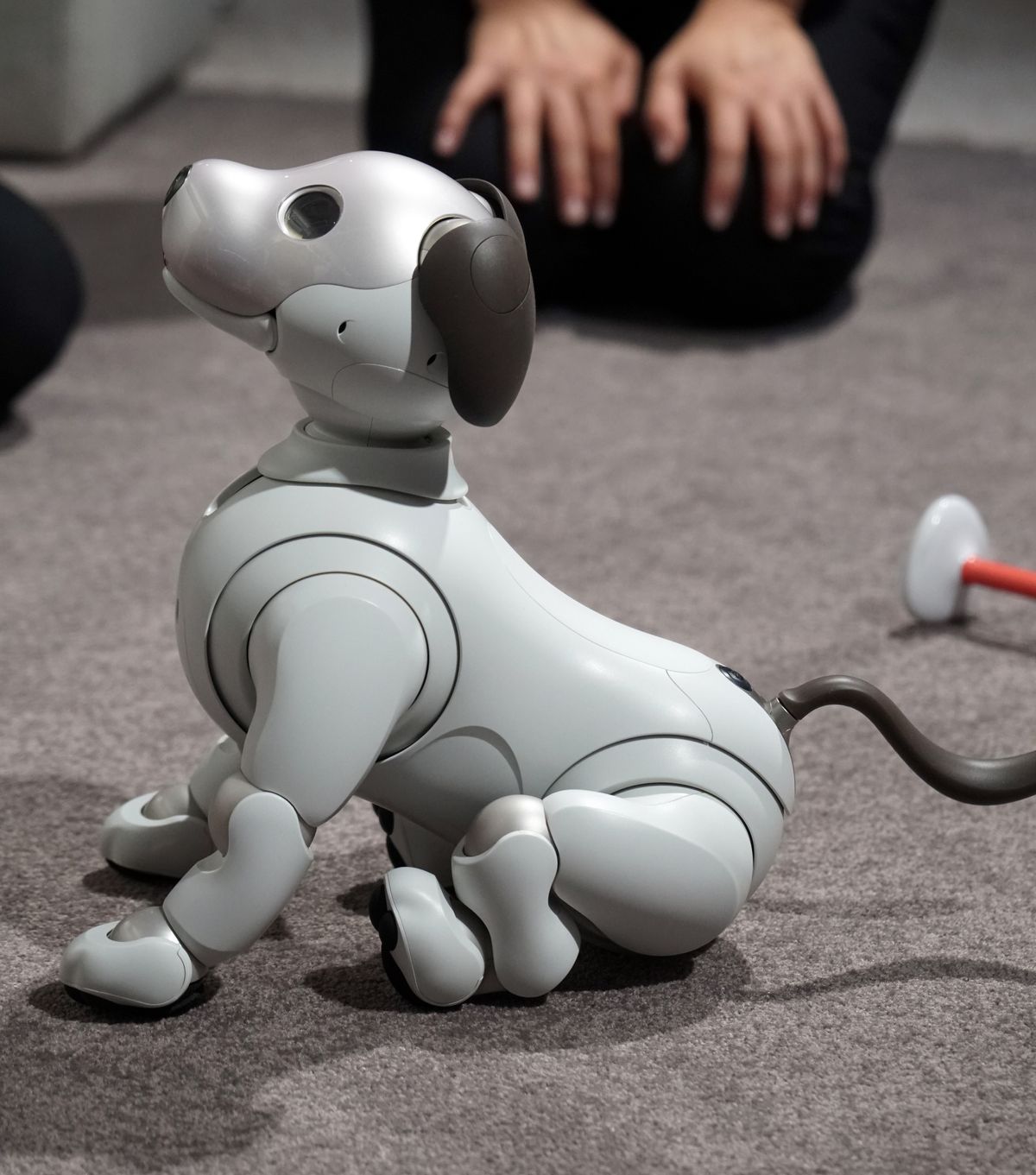 aibo3.jpg