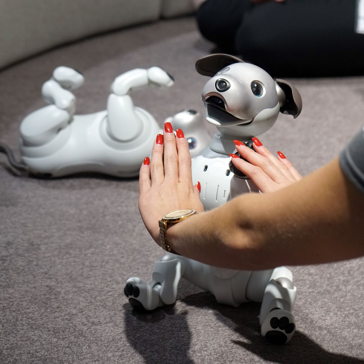 aibo4.jpg