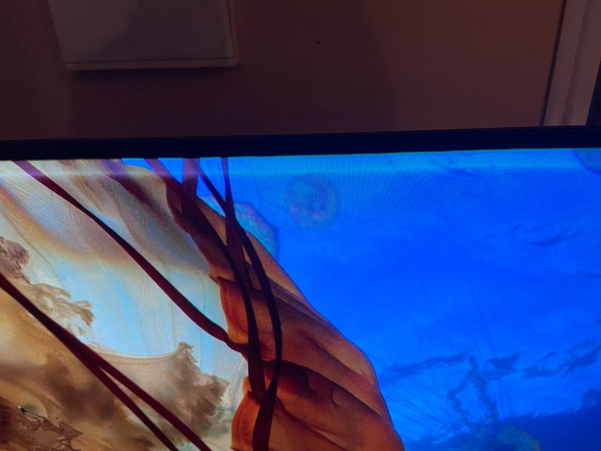 IMG-1132.jpg IMG-1132.jpg