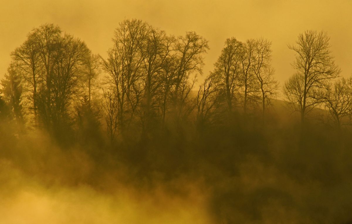 suchen sich den weg durch den nebel